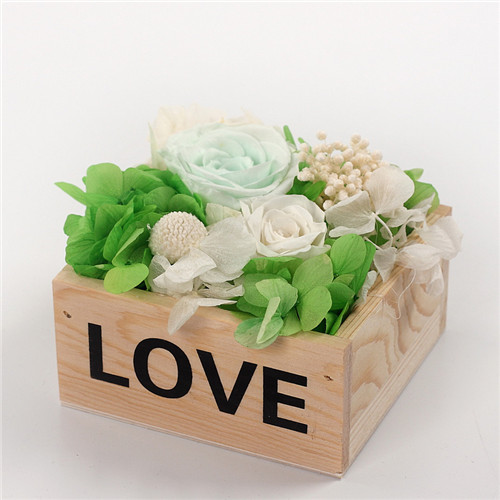 h۱rrľlove\G